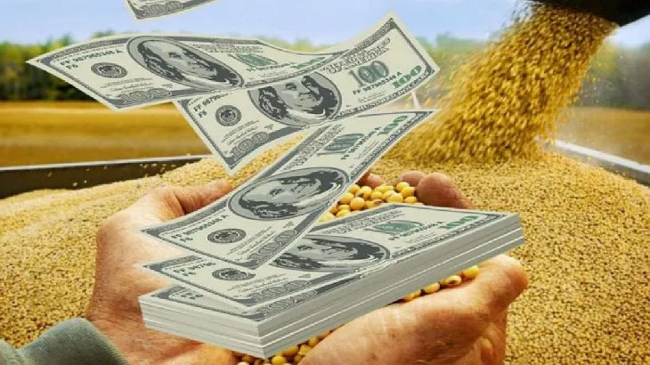 dolar-agro