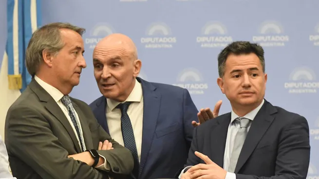 jose-luis-espert-gabriel-bornoroni-nicolas-mayoraz-camara-diputados-ley-omnibus