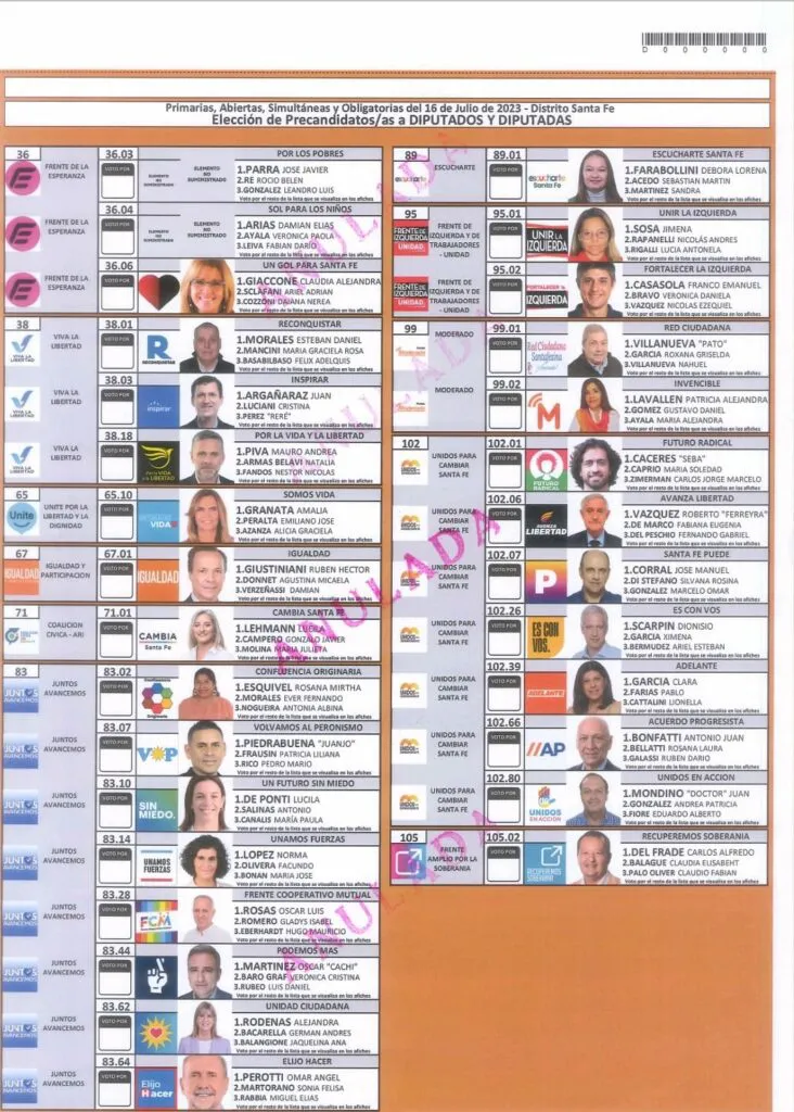 Boleta-Diputado-732x1024