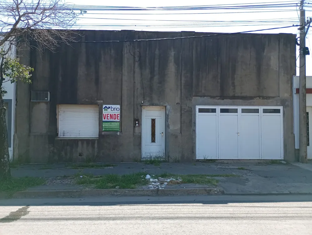 WhatsApp Image 2026-03-11 at 08.47.49