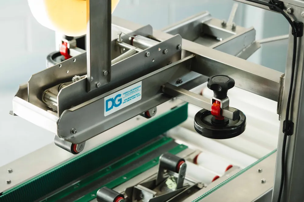 DG Pegadora WEB-17 copia