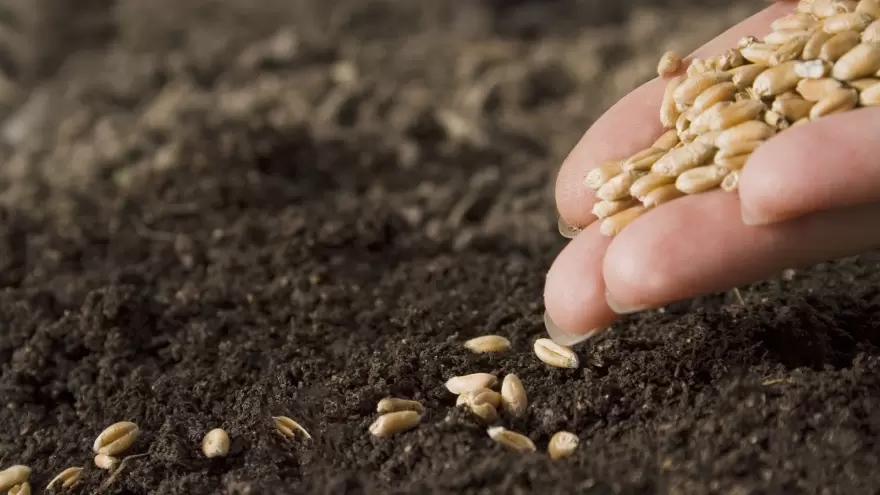 20220808094807_ley-de-semillas-3