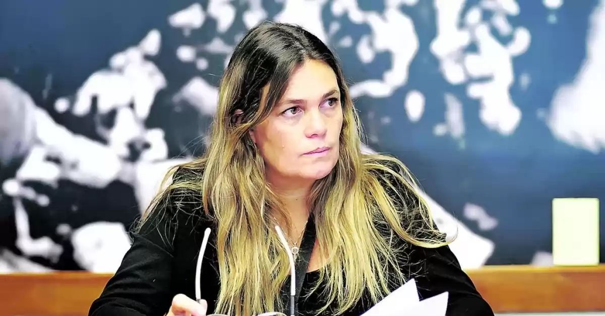 diputada_silvana_di_stefano